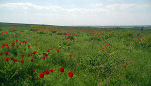 0400m6qg-a826-300x172.jpg