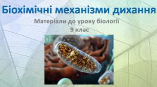 Презентація "Енергетичний обмін, біохімічні механізми дихання"