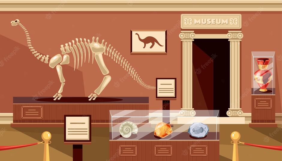 Premium Vector | Empty museum room with skeleton dinosaur exhibit concept