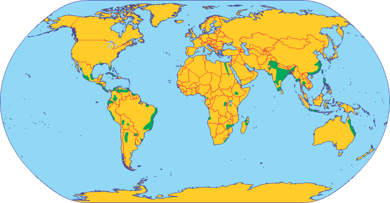 0400m8td-9858-786x409.png