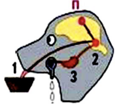 0400ma7b-aa81-248x219.png