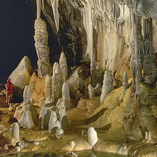 0400madh-28c5-620x620.png