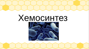 Презентація уроку біології "Хемосинтез".