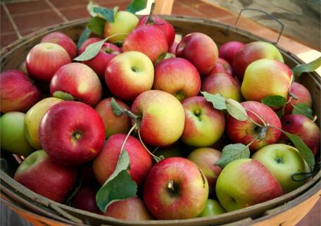 Increase harvest of fruit trees, produce beautiful fruits