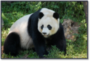0400meb1-650d-131x89.png