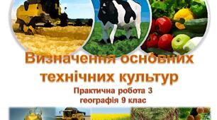 Практична робота 3