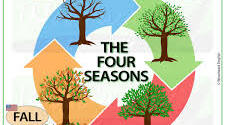 Тексти для читання "The seasons in England"