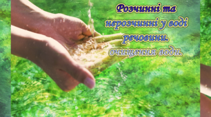 Розчинні і нерозчинні у воді речовини. Очищення води.