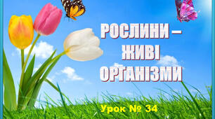 Які бувають рослини