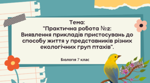 Практична робота №2:Виявлення прикладів пристосувань до способу життя у представників різних екологічних груп птахів.