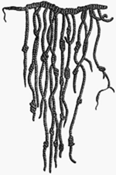 0400ml0k-b038-382x574.png