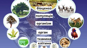 Рівні організації життя. Методи