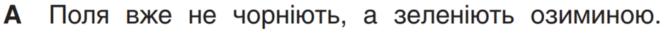 0400mnmc-4165-940x44.png