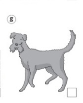 0400moko-8821-168x210.png