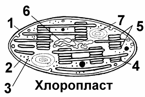 0400mol3-70ac-465x311.png