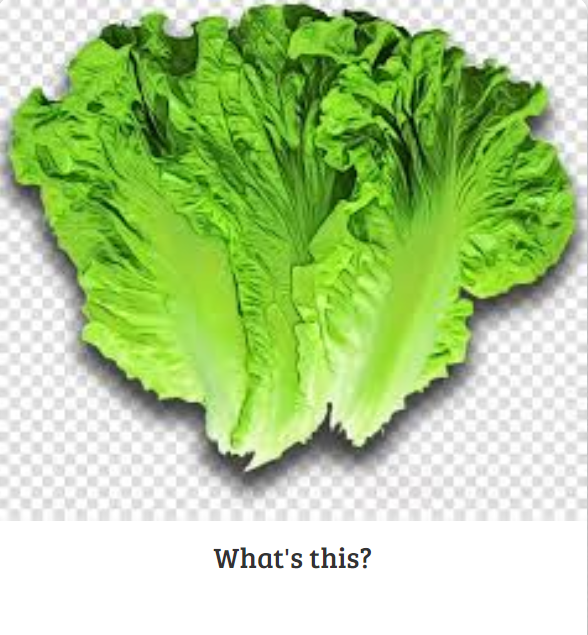 0400mper-5826-588x635.png
