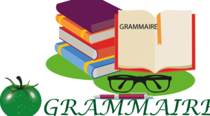 Grammaire (conclure et résoudre)
