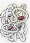 0400myzn-75d3-98x142.png