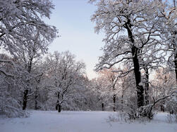 0400mzfu-f96e-251x188.jpg