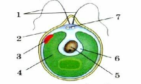 0400n3uv-bf02-276x165.png