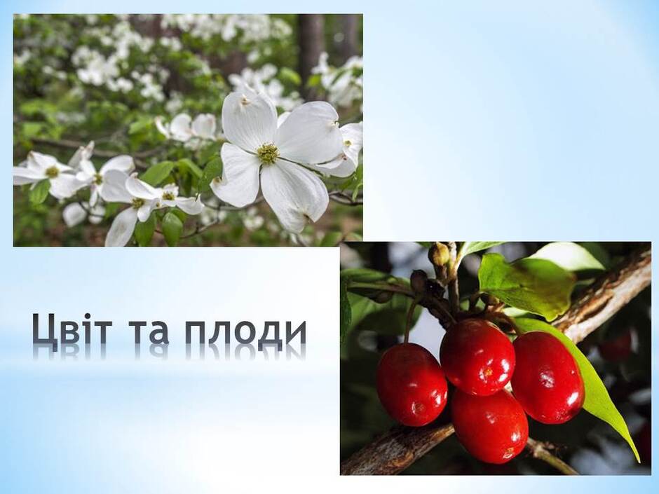 0400n664-3e41-940x705.jpg