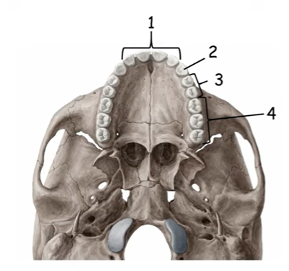 0400naz7-4400-406x381.png