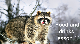 Презентація "Food and drinks. Lesson 11"