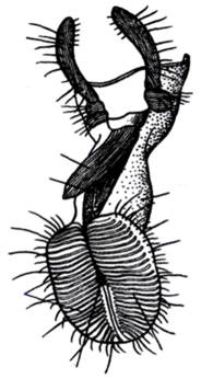0400ndsv-7188-184x356.png
