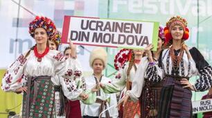 (Копія) Віночок дружби