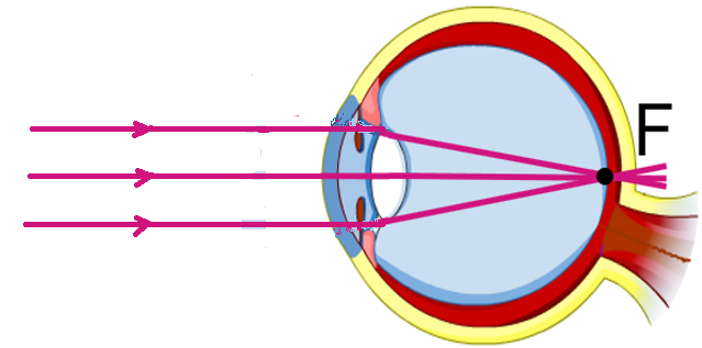 0400nipy-a3e5-639x317.png