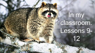Презентація "In my classroom. Lessons 9-12"