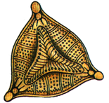 0400nkni-c72a-155x147.png