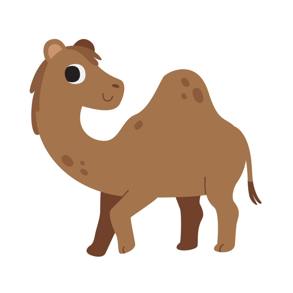 0400nkoa-e05e-940x940.png