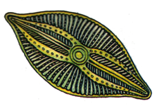 0400nktd-c5b6-220x151.png