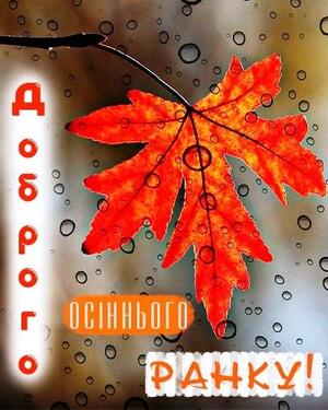 0400nmf9-96cd-300x375.jpg
