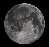 0400nnx1-618d-172x164.jpg