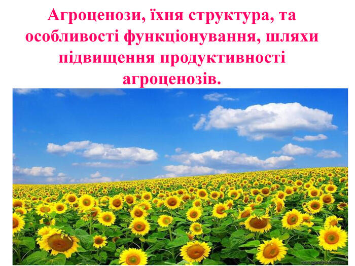 Агроценози, їхня структура, та особливості функціонування, шляхи підвищення продуктивності агроценозів.