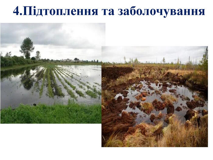  4. Підтоплення та заболочування 