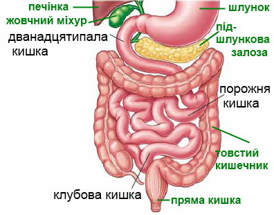 0400nsoa-ad8f-396x310.png