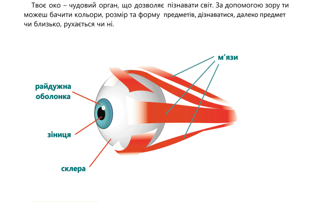0400nspk-4a9d-671x410.png