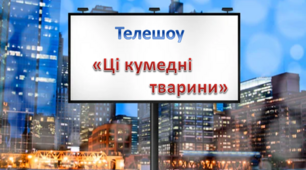 "Яка користь від свійських тварин". Ознайомлення з соціумом.Середня група