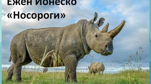 Презентація - конспект уроку із зарубіжної літератури в 11 класі з теми: " Ежен Йонеско "Носороги"