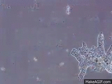 0400o5l2-14ed-222x166.gif