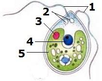 0400o5ri-e96b-210x168.jpg