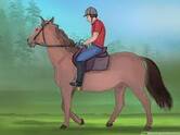 How to Prepare to Ride a Horse (with Pictures) - wikiHow