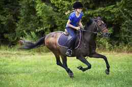 How to Ride a Horse Safely