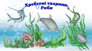 Хребеттні тварини. Риби