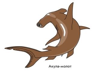 0400o691-a582-309x237.jpg