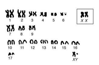 0400o7q8-3756-327x217.jpg