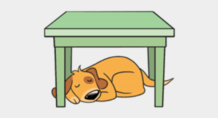 0400o8pb-6368-218x118.png